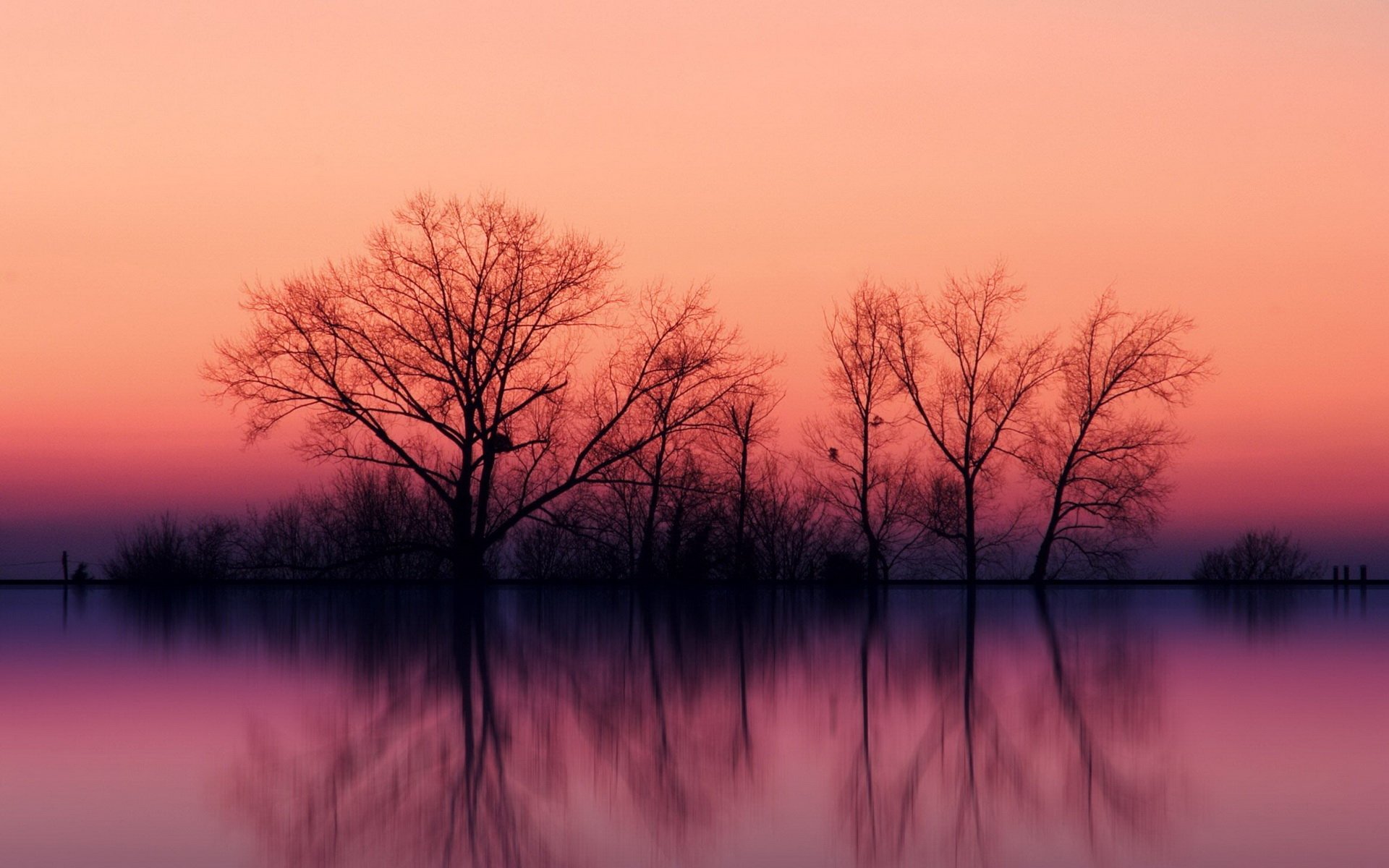 Download Nature Reflection HD Wallpaper | 1920x1200 | Wallpaper Abyss