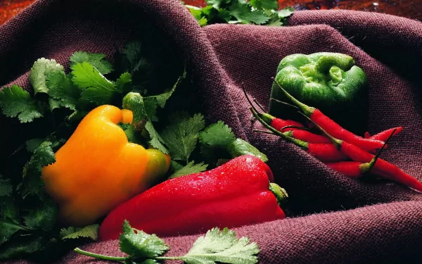 food pepper HD Desktop Wallpaper | Background Image