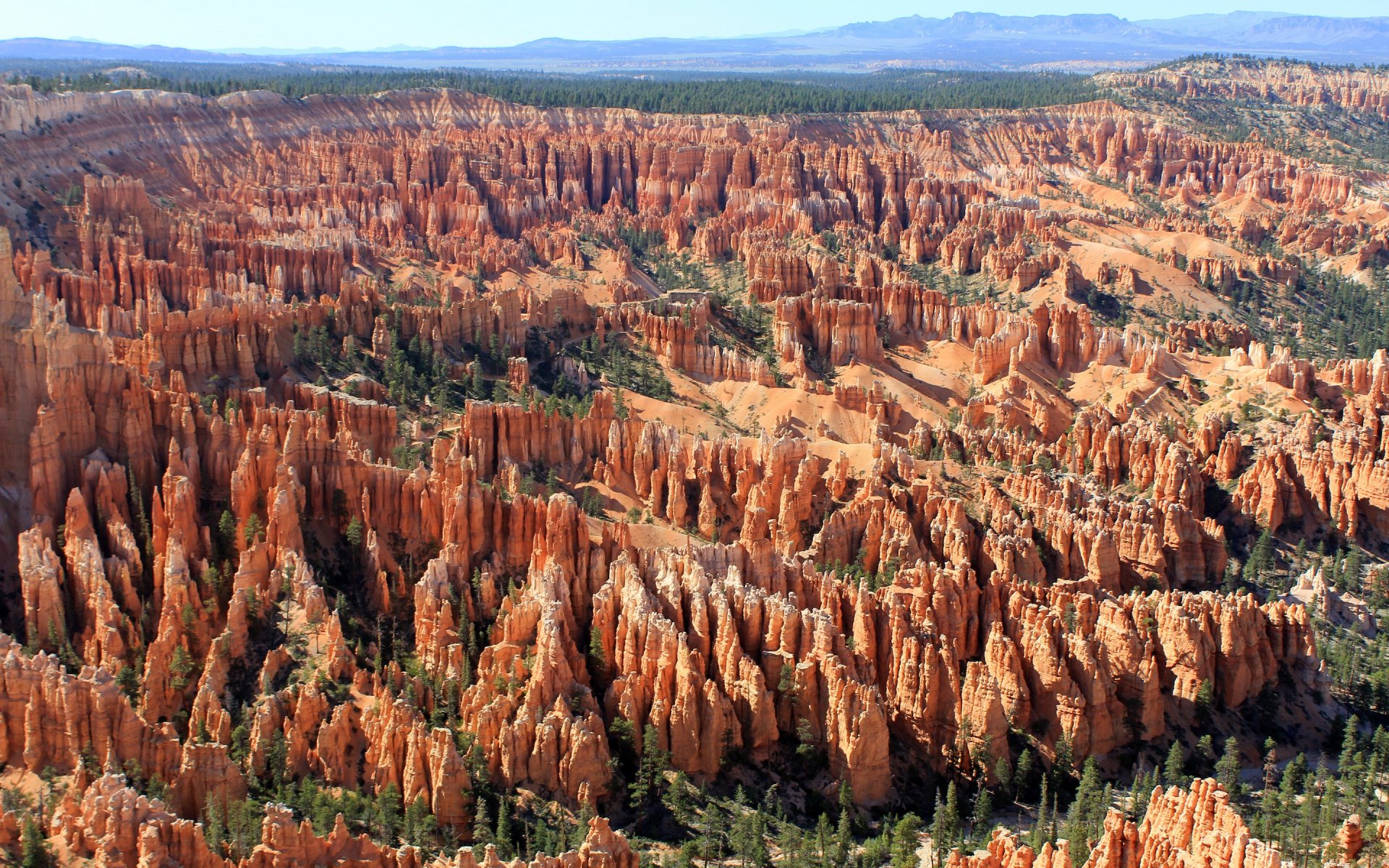 A stunning view of Bryce Canyon National Park, showcasing its iconic orange rock formations and lush greenery, captured in vibrant detail for a nature-themed desktop wallpaper.
