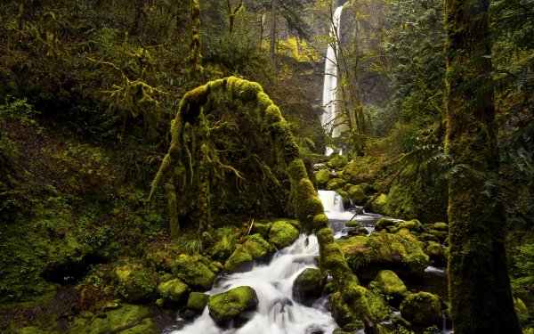 Earth Waterfall Waterfalls HD Wallpaper | Background Image