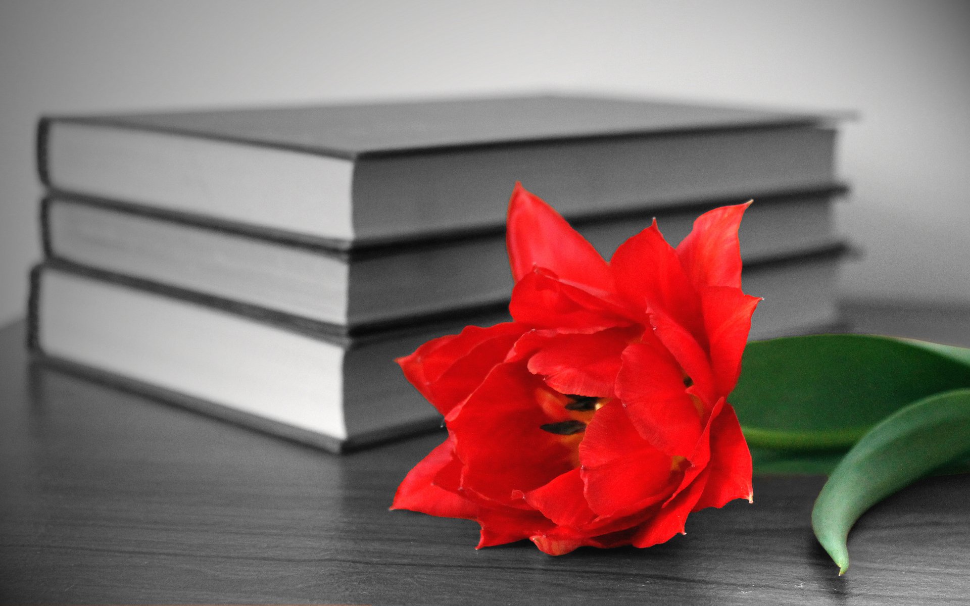 A striking HD desktop wallpaper featuring three stacked books and a vibrant red flower, creating a contrast of color against a monochrome background.