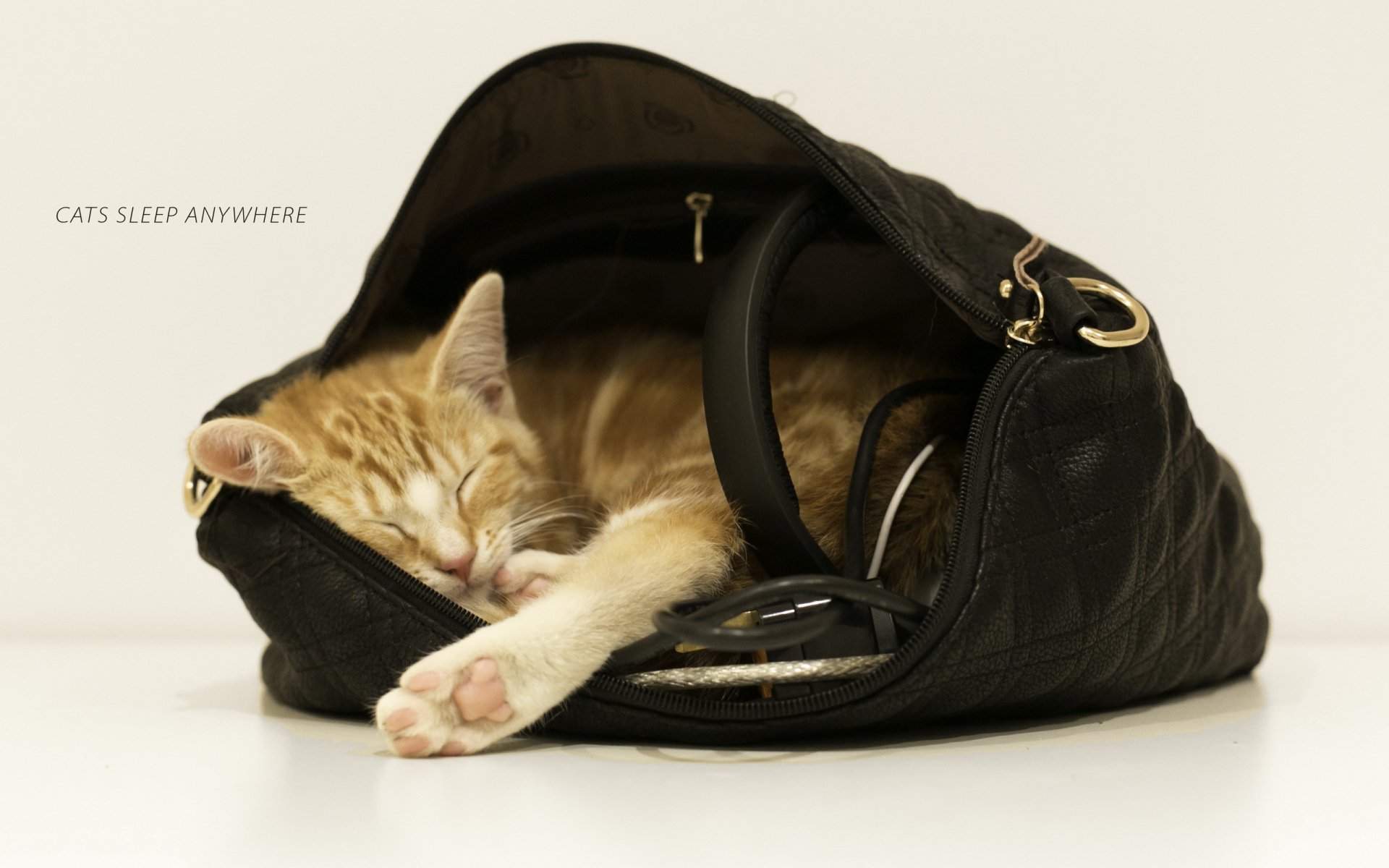 A cozy orange cat peacefully sleeps inside a black handbag, surrounded by its straps. This HD PC desktop wallpaper captures the charm of cats relaxing anywhere.