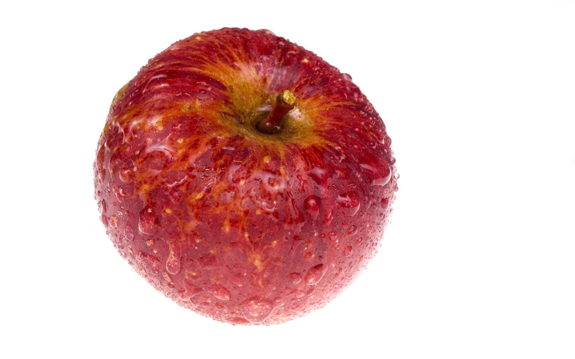 HD desktop wallpaper featuring a close-up of a fresh red apple with water droplets against a white background.