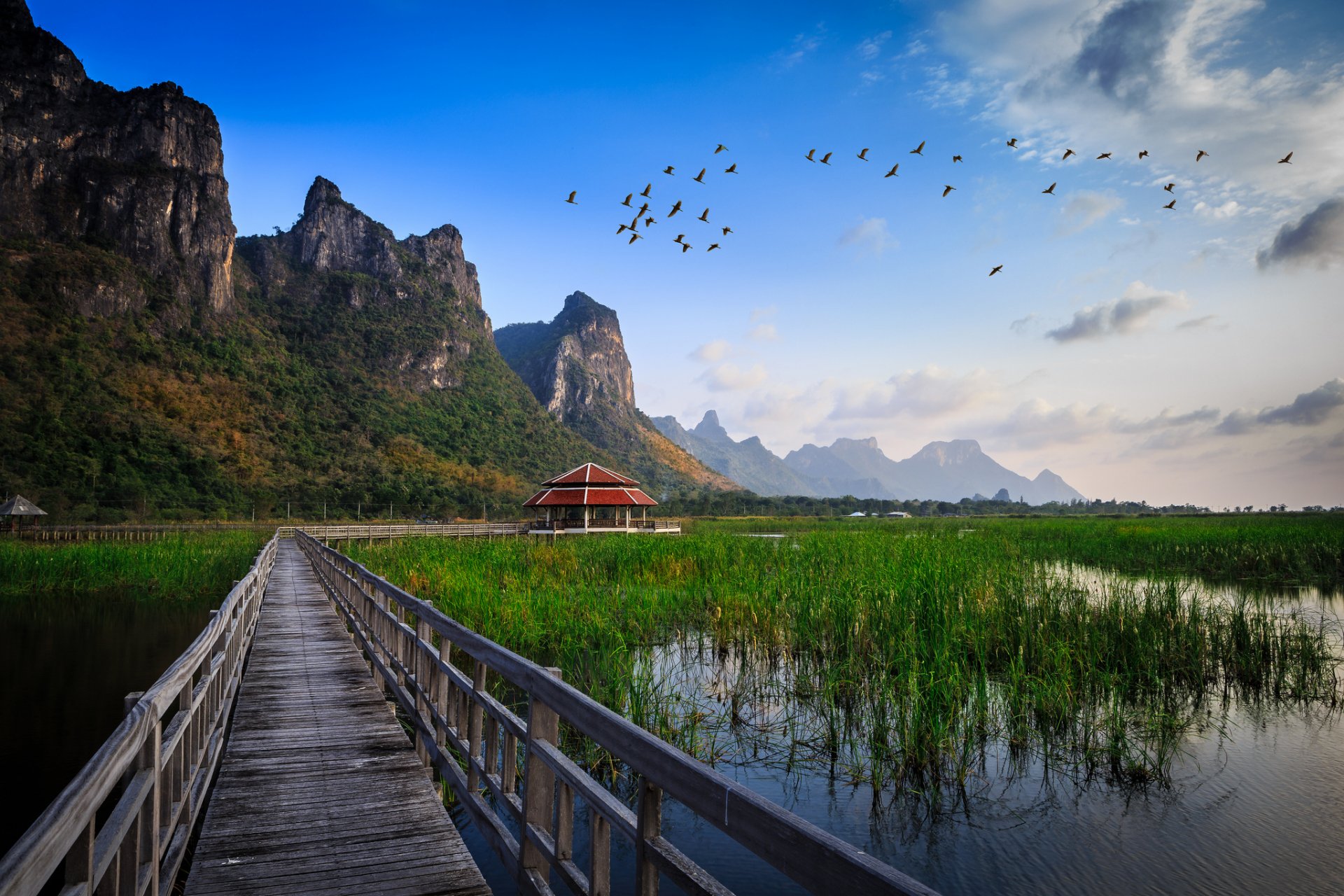 A serene HD desktop wallpaper featuring a man-made wooden bridge leading through lush green wetlands, framed by majestic mountains and a flock of birds in the sky.