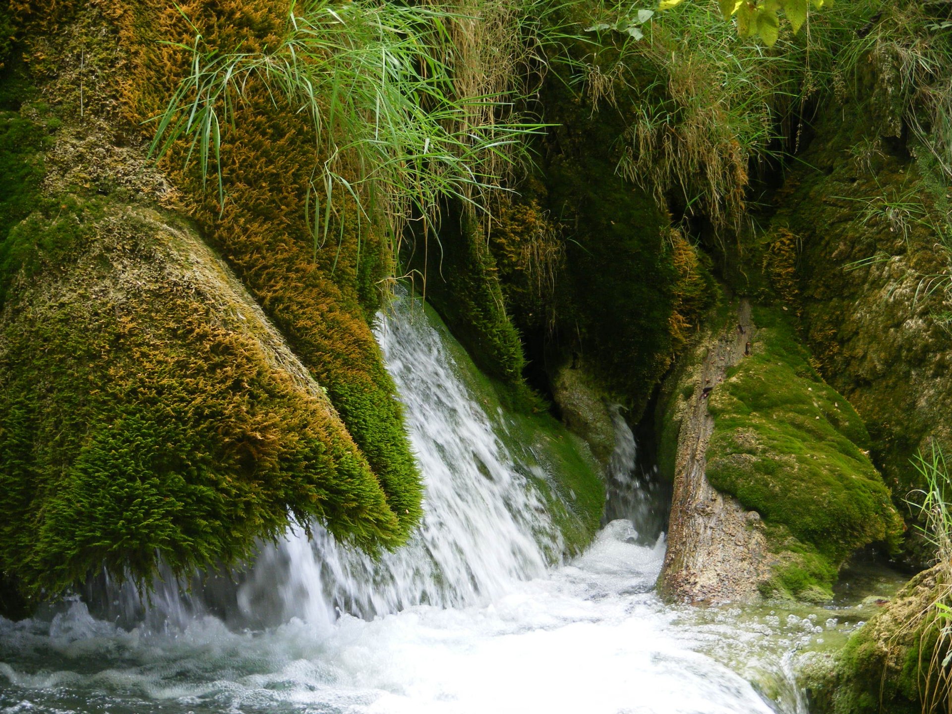 HD PC desktop wallpaper of a serene waterfall cascading through moss-covered rocks surrounded by lush green vegetation in a natural setting.