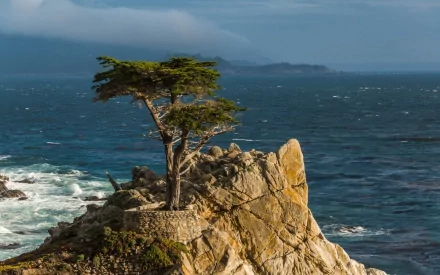 nature cliff HD Desktop Wallpaper | Background Image