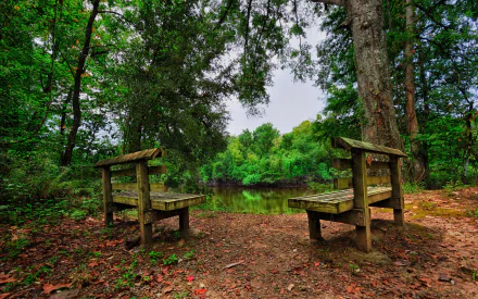 A serene outdoor scene featuring two wooden benches by a calm body of water, surrounded by lush greenery. This HD image serves as an inspiring desktop wallpaper.