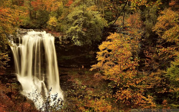 Earth Waterfall Waterfalls HD Wallpaper | Background Image