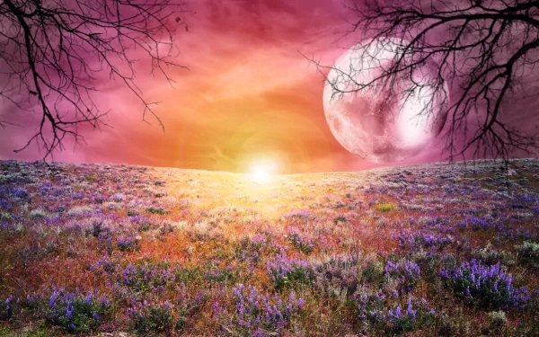A dreamy world unfolds in this HD desktop wallpaper, featuring a vibrant sunset over a field of flowers, framed by bare branches beneath a glowing moon.