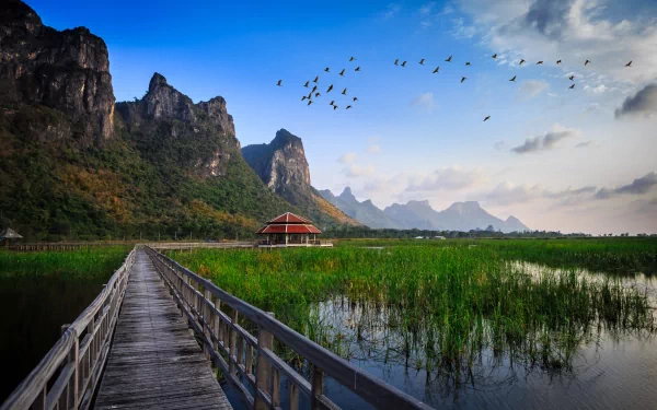 A serene HD desktop wallpaper featuring a man-made wooden bridge leading through lush green wetlands, framed by majestic mountains and a flock of birds in the sky.