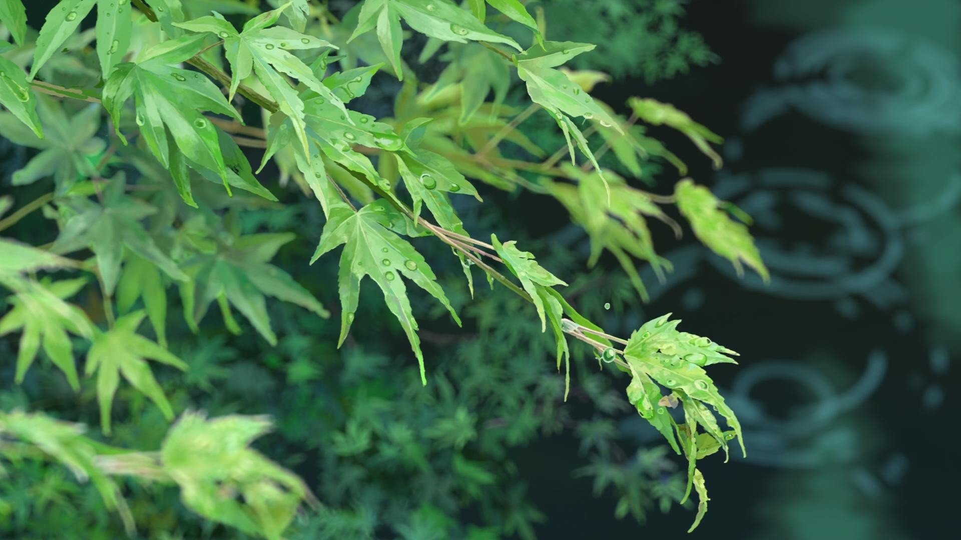 HD PC desktop wallpaper featuring vibrant green maple leaves inspired by the anime The Garden Of Words, capturing a serene and natural atmosphere.