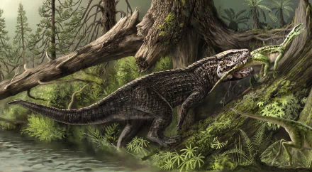 Animal dinosaur HD Desktop Wallpaper | Background Image