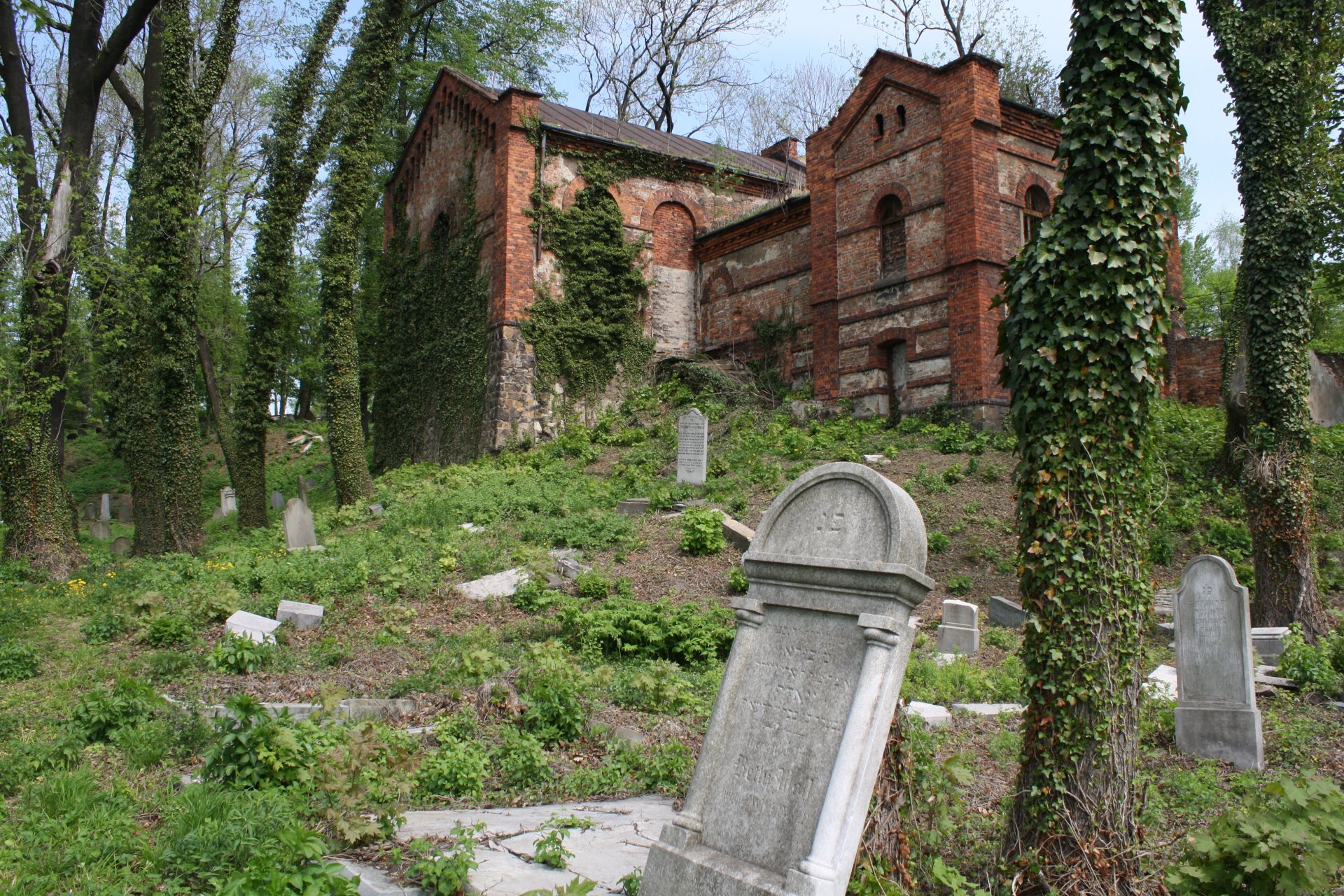 4K Ultra HD desktop wallpaper featuring an old man-made brick building surrounded by ivy-covered trees and weathered gravestones in a serene, overgrown cemetery.