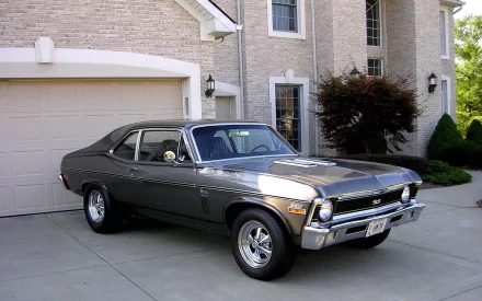 Vehicle: gray Chevrolet Nova SS parked in a driveway, presented as a 2K Quad HD PC desktop wallpaper and background.