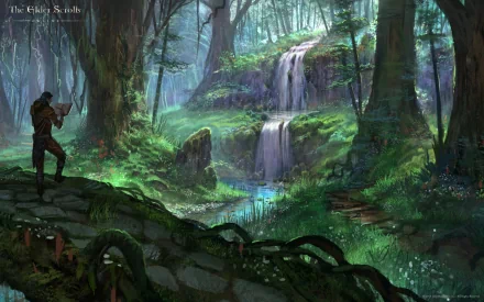 video game The Elder Scrolls Online HD Desktop Wallpaper | Background Image