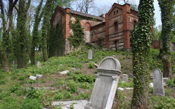 4K Ultra HD desktop wallpaper featuring an old man-made brick building surrounded by ivy-covered trees and weathered gravestones in a serene, overgrown cemetery.