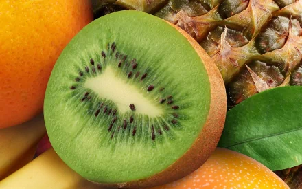A vibrant close-up of a kiwi slice showcases its juicy green interior, accompanied by a pineapple and other fruits, making it an eye-catching HD desktop wallpaper.