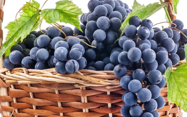 HD wallpaper featuring ripe blue grapes overflowing from a wicker basket, complemented by vibrant green leaves.