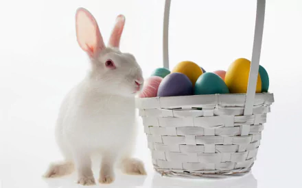 A white rabbit next to a white basket filled with colorful Easter eggs on a clean white background, captured in HD for a desktop wallpaper.