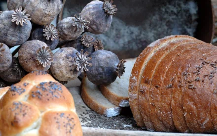 HD PC desktop wallpaper featuring close-up of various breads and dry poppy seed pods, highlighting textures and rustic food elements.