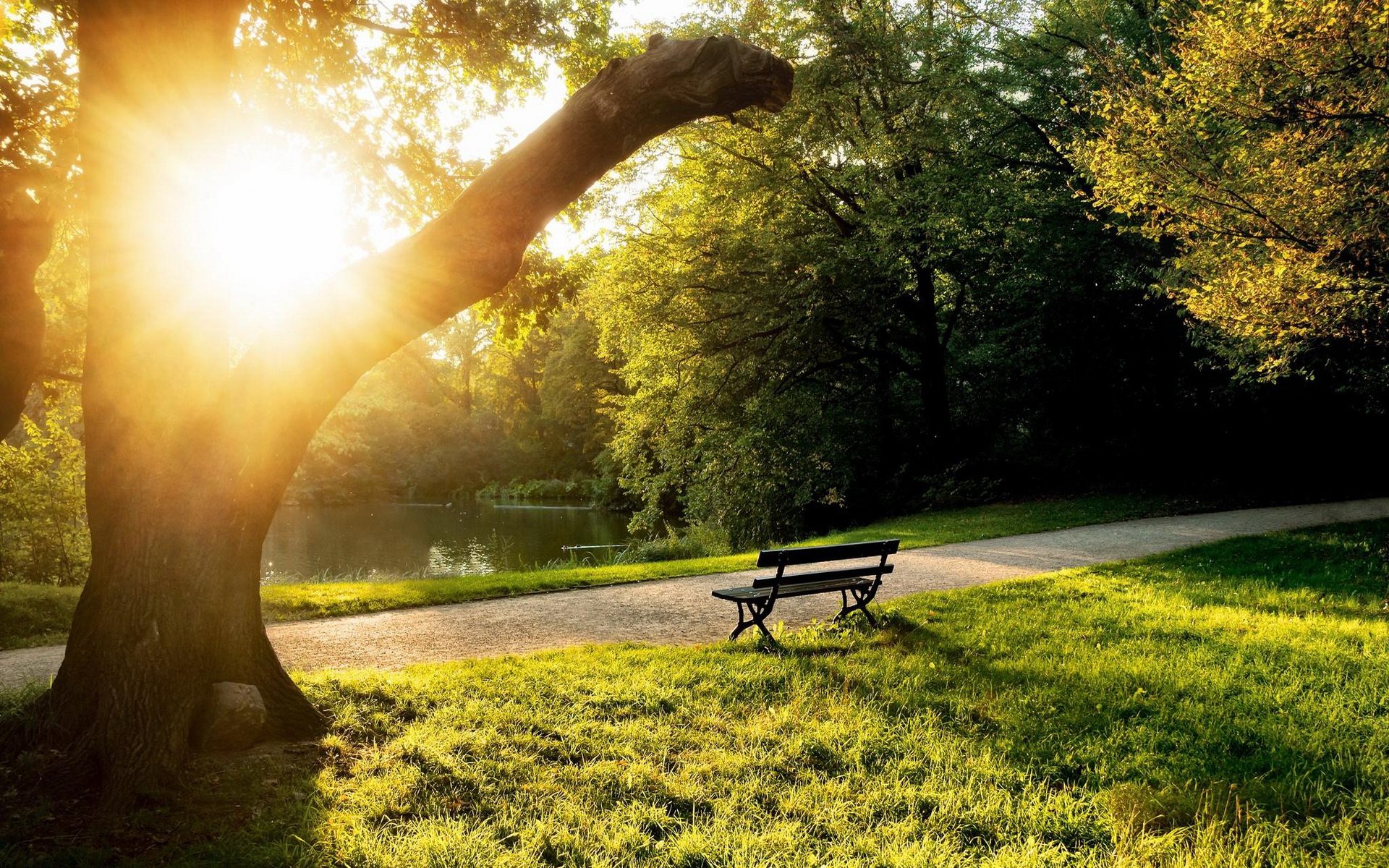 Sunlight filters through the branches of a large tree, casting shadows on grass near a man-made bench by a peaceful park path in this HD PC desktop wallpaper.