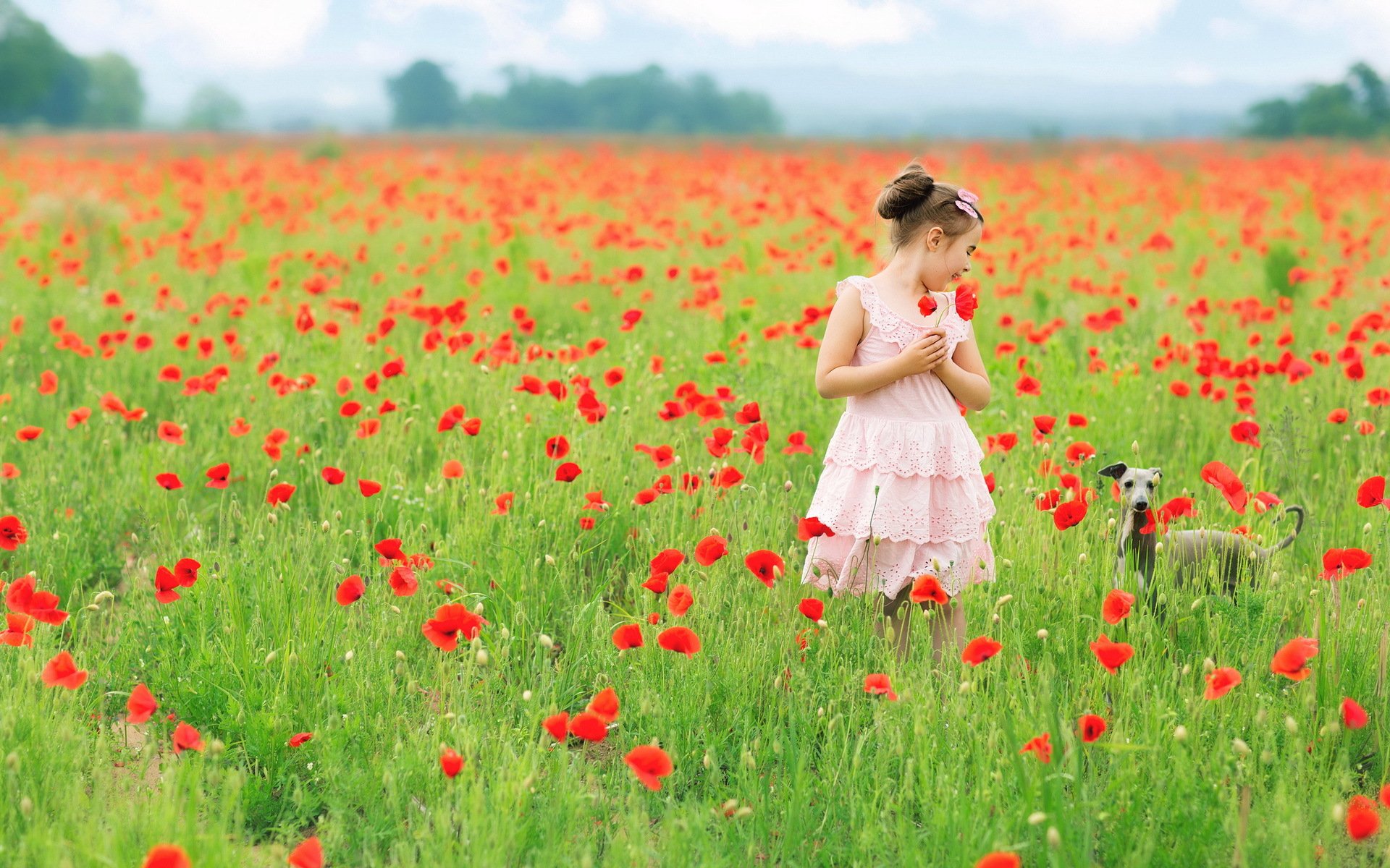 Field children. Девушка в поле. Девушка в цветочном поле. Девочка в поле с маками. Ребенок в поле цветов.