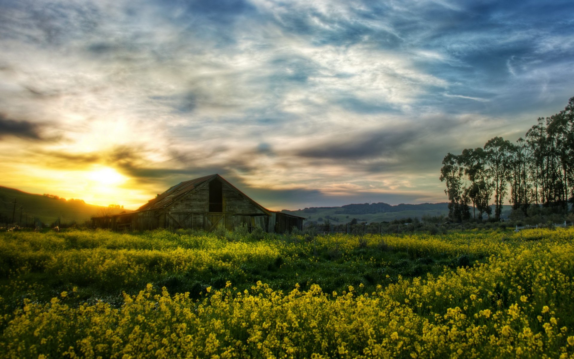 HD PC desktop wallpaper/background: man-made barn at sunset amid a yellow wildflower field and silhouetted trees beneath dramatic, cloud-streaked sky.