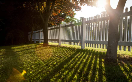 A serene outdoor scene featuring a white fence alongside vibrant greenery, with sunlight casting long shadows on the grass, making this a captivating HD desktop wallpaper.