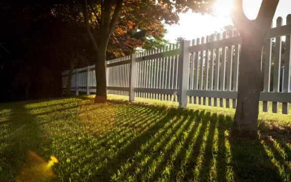 A serene outdoor scene featuring a white fence alongside vibrant greenery, with sunlight casting long shadows on the grass, making this a captivating HD desktop wallpaper.