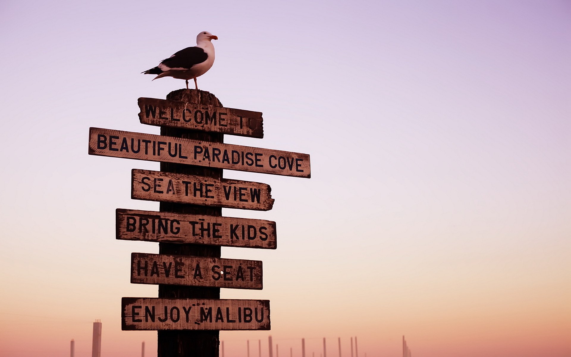 HD PC desktop wallpaper: wooden seaside signpost reading Welcome, Beautiful Paradise Cove, Sea the View, Bring the Kids, Have a Seat, Enjoy Malibu with a seagull against a pastel sunset.