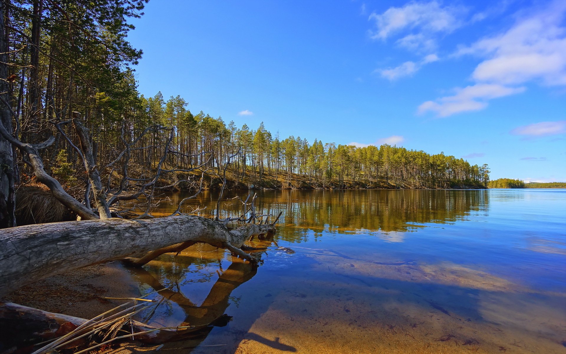 Serene Shoreline Reflection — HD Nature Wallpaper | 1920x1200 ...
