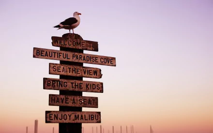 Misc sign HD Desktop Wallpaper | Background Image