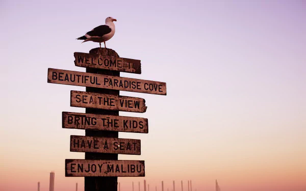 HD PC desktop wallpaper: wooden seaside signpost reading Welcome, Beautiful Paradise Cove, Sea the View, Bring the Kids, Have a Seat, Enjoy Malibu with a seagull against a pastel sunset.