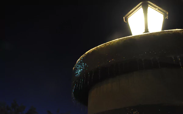  Frozen Lamp