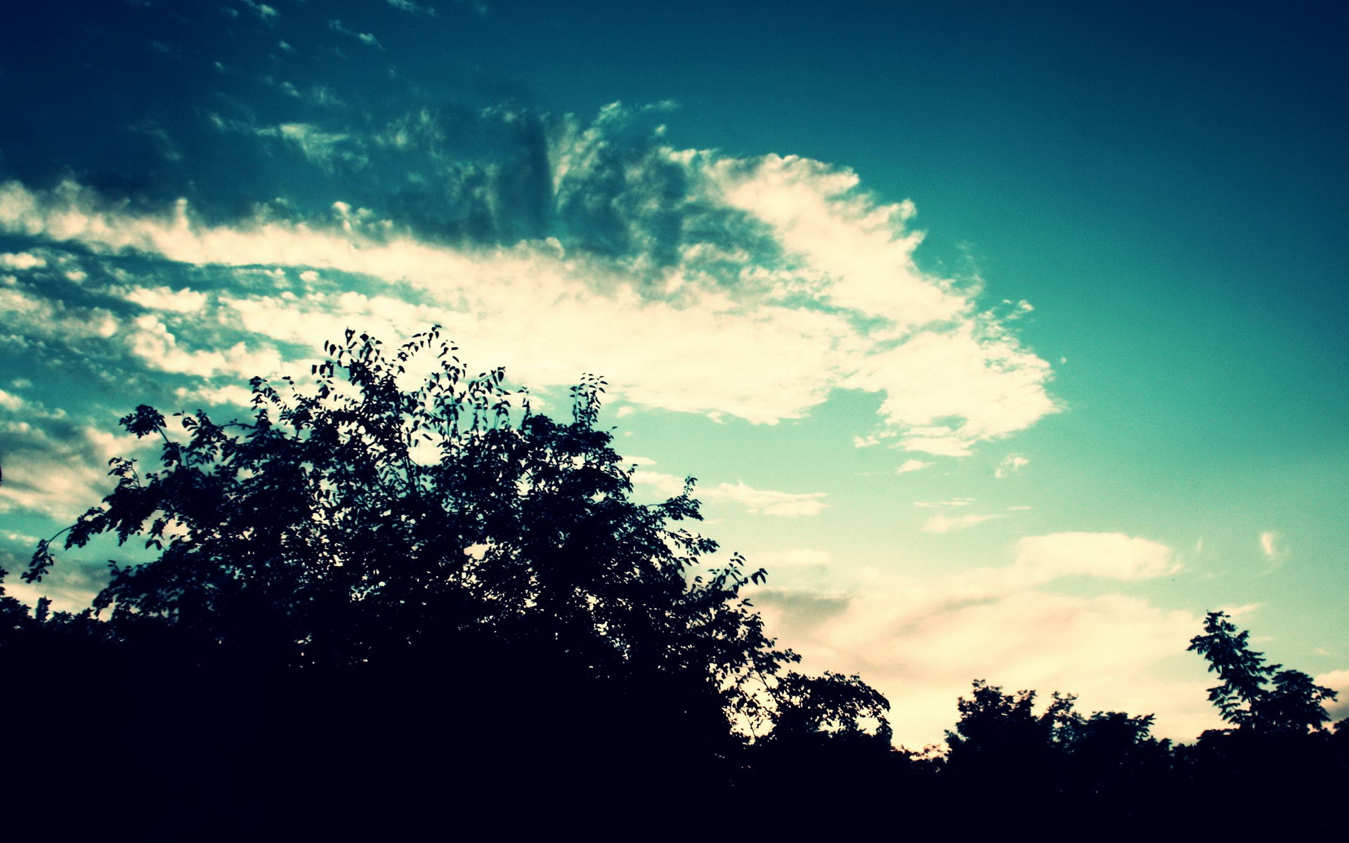 Download Nature Sky HD Wallpaper