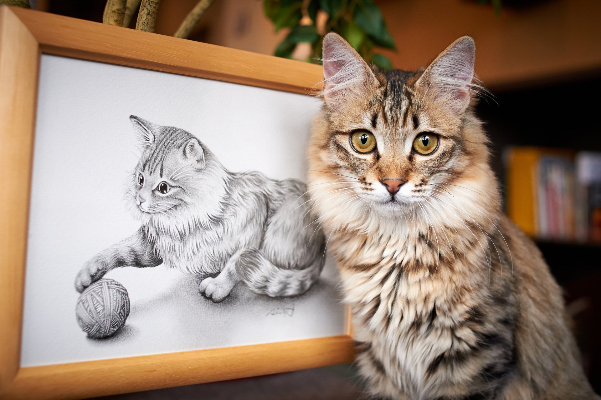 A beautiful domestic cat poses next to a framed drawing of another cat playing with a ball of yarn, creating a charming scene for a HD PC desktop wallpaper and background.