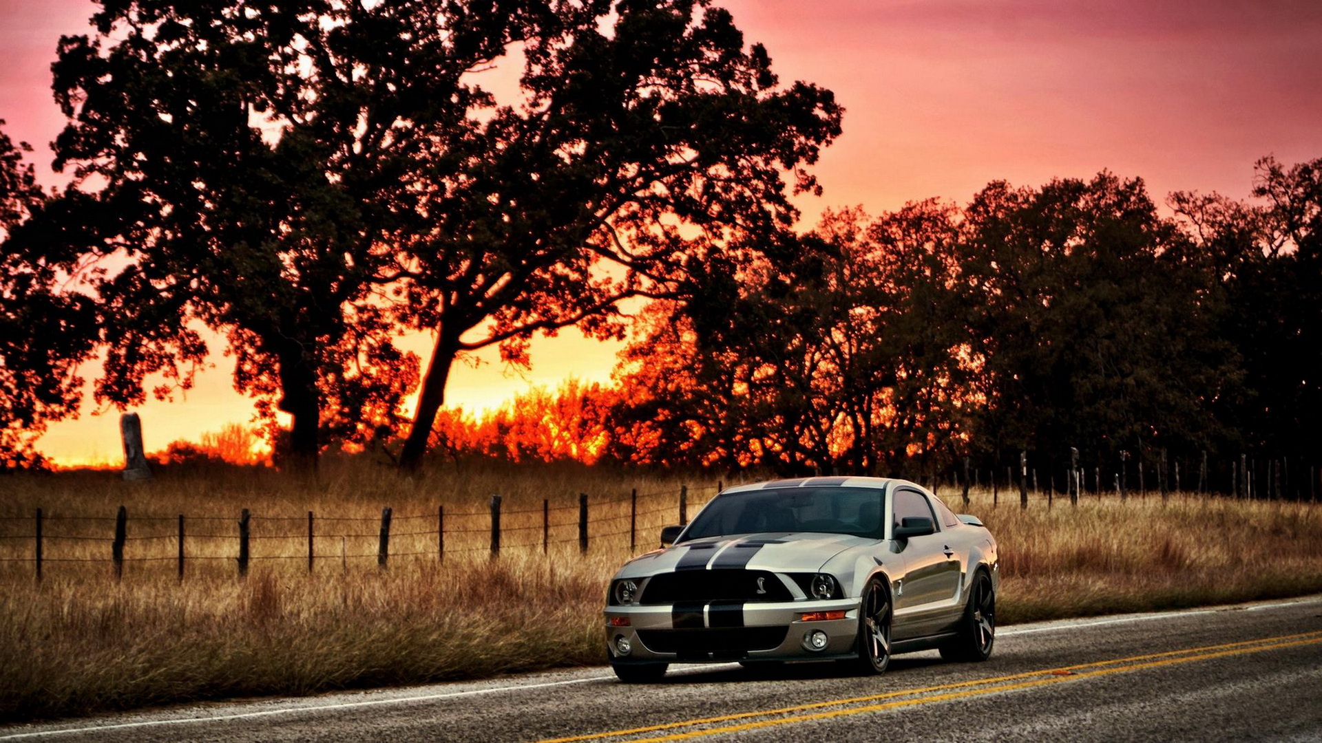 Vehicles Ford Mustang Shelby HD Wallpaper | Background Image