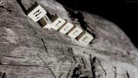 man made scrabble HD Desktop Wallpaper | Background Image