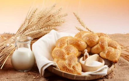 HD PC desktop wallpaper featuring fresh sesame bread rings, a glass jug of milk, and wheat stalks on a rustic fabric background.