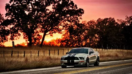 A Ford Mustang Shelby parked on a rural road at sunset, with trees and a vibrant orange sky in the background, captured in HD for a PC desktop wallpaper.