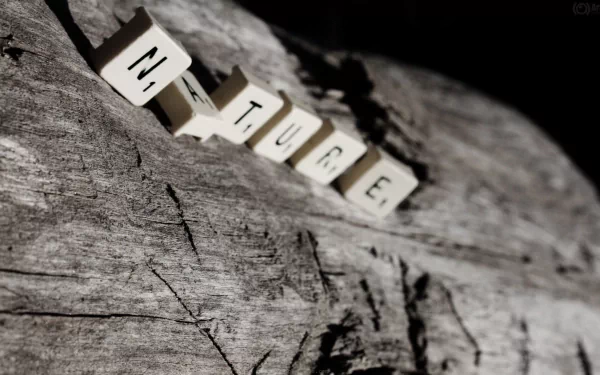 man made scrabble HD Desktop Wallpaper | Background Image