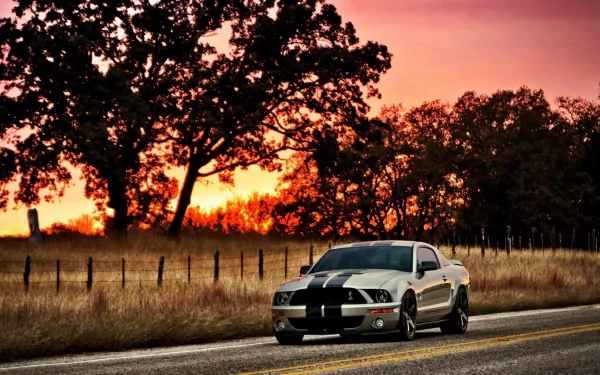 A Ford Mustang Shelby parked on a rural road at sunset, with trees and a vibrant orange sky in the background, captured in HD for a PC desktop wallpaper.
