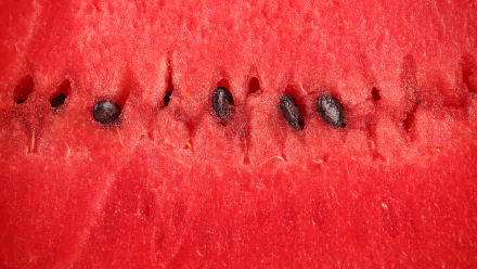 Close-up of vibrant watermelon flesh and seeds, captured in HD for a striking PC desktop wallpaper background.
