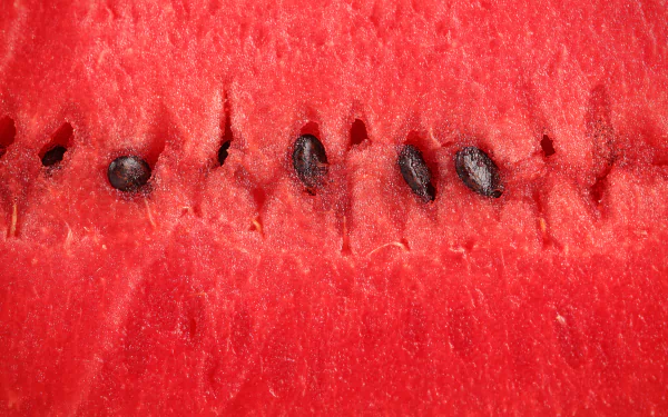 Close-up of vibrant watermelon flesh and seeds, captured in HD for a striking PC desktop wallpaper background.