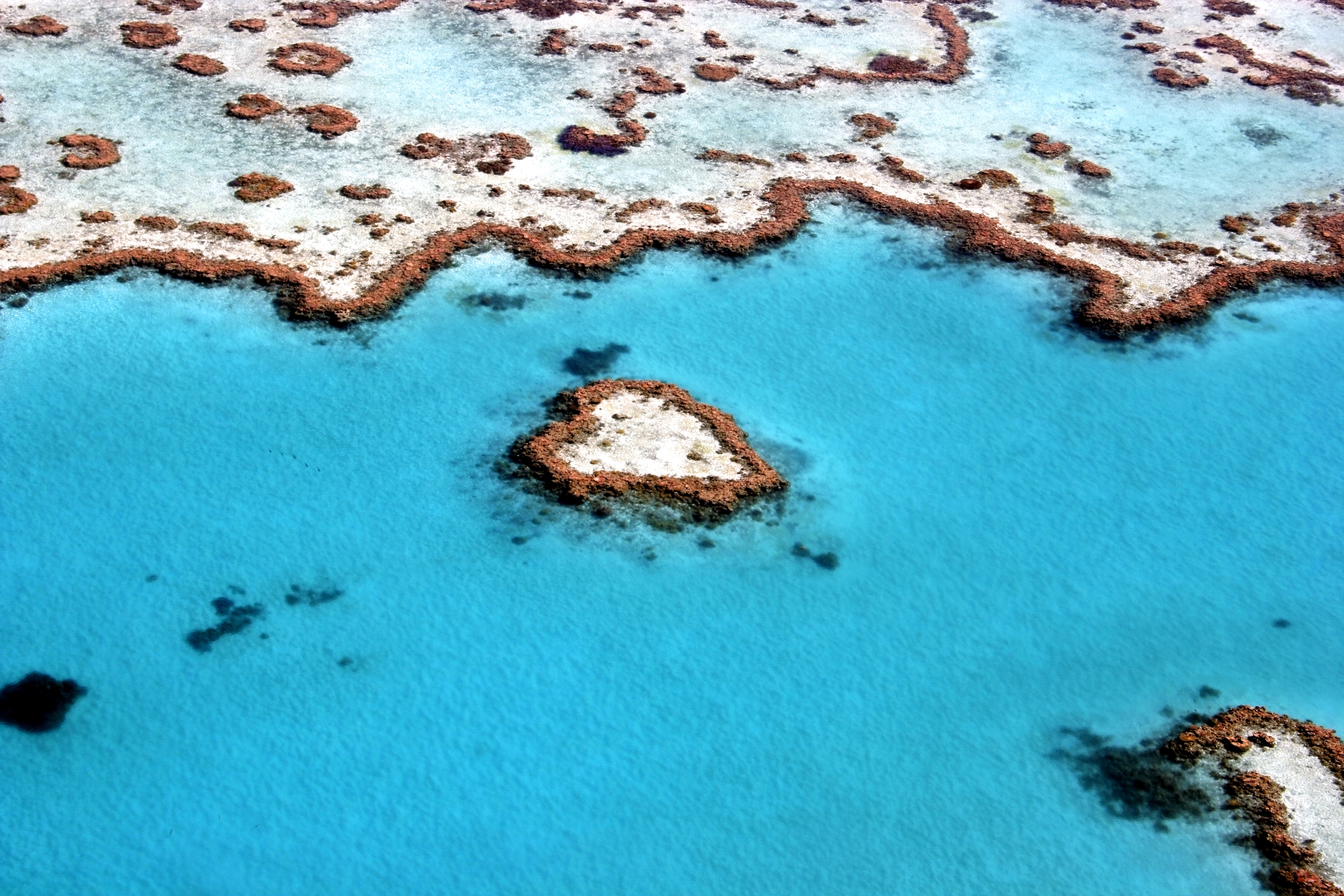 Nature Great Barrier Reef HD Wallpaper | Background Image