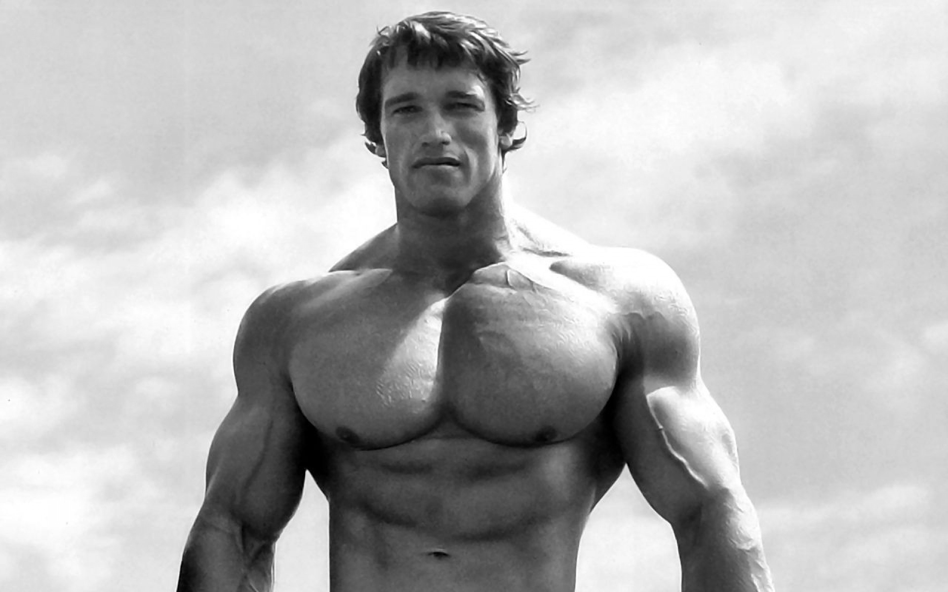 Celebrity Arnold Schwarzenegger HD Wallpaper | Background Image