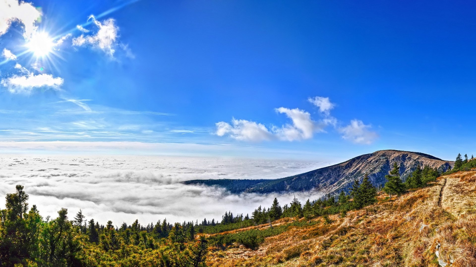 HD PC desktop wallpaper/background — nature, sky: panoramic sunlit blue sky above a mountain ridge, forested slopes and a sea of clouds.