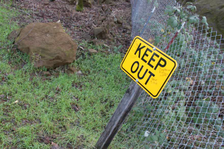 HD wallpaper of a KEEP OUT sign on a fence in a grassy area, serving as both a warning and a desktop background.