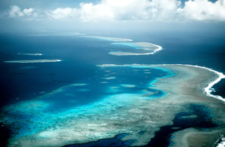 reef nature great barrier reef HD Desktop Wallpaper | Background Image