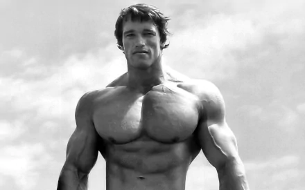 Black and white HD desktop wallpaper featuring celebrity Arnold Schwarzenegger displaying his muscular physique against a cloudy sky background.